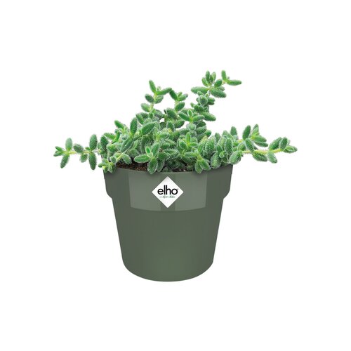 Elho b.for original rond mini 11cm - afbeelding 2