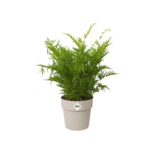 Elho b.for original rond mini 7cm - afbeelding 2