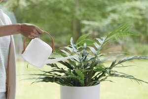 Elho b.for soft gieter 1,7ltr - afbeelding 2