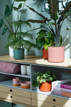 Elho b.for soft rond 14cm - afbeelding 3