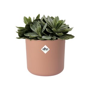 Elho b.for soft rond 16cm - afbeelding 2