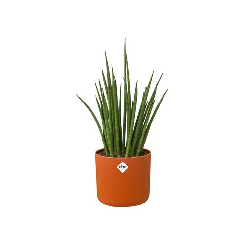 Elho b.for soft rond 18cm - afbeelding 3