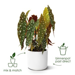 Elho b.for soft rond 30cm wit - afbeelding 3