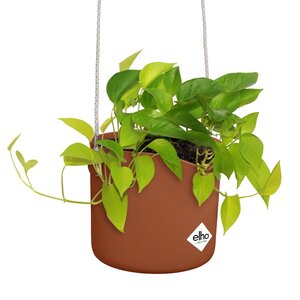 Elho B.for Swing 18 cm Bruin - afbeelding 2