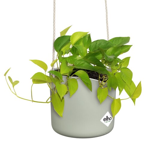 Elho B.for Swing 18 cm Groen - afbeelding 3