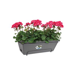 Elho barcelona allin1 50cm antraciet - afbeelding 2