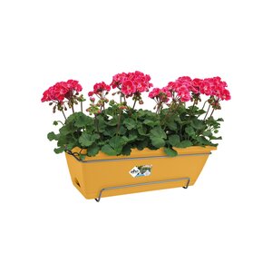 Elho barcelona allin1 50cm honinggeel - afbeelding 2