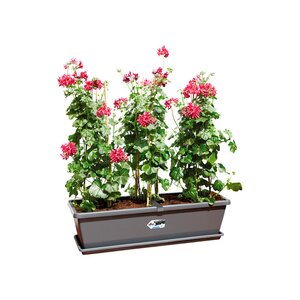 Elho barcelona xl 80cm antraciet - afbeelding 2