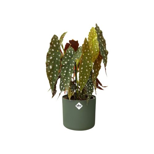 Elho Bloempot B.for Soft rond 22cm groen - afbeelding 3