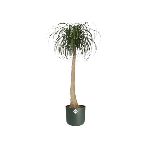 Elho Bloempot B.for Soft rond 25cm groen - afbeelding 3