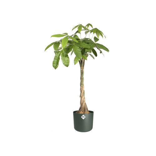 Elho Bloempot B.for Soft rond 25cm groen - afbeelding 4