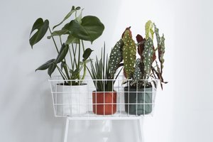 Elho Bloempot B.for Soft rond 30cm groen - afbeelding 4