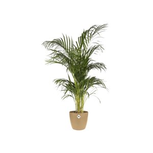 Elho Bloempot Brussels rond 16cm bruin - afbeelding 3