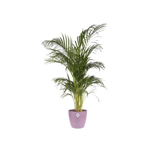 Elho Bloempot Brussels rond 16cm paars - afbeelding 3