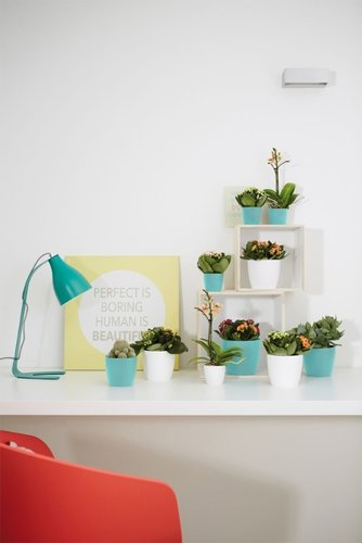 Elho Bloempot Brussels rond Mini 10,5cm blauw - afbeelding 4
