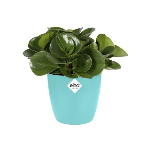 Elho Bloempot Brussels rond Mini 10,5cm blauw - afbeelding 2