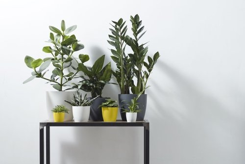 Elho Bloempot Brussels rond Mini 12,5cm geel - afbeelding 3