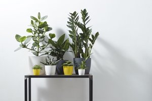 Elho Bloempot Brussels rond Mini 12,5cm geel - afbeelding 3