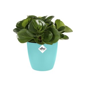 Elho Bloempot Brussels rond Mini 9,5cm blauw - afbeelding 2