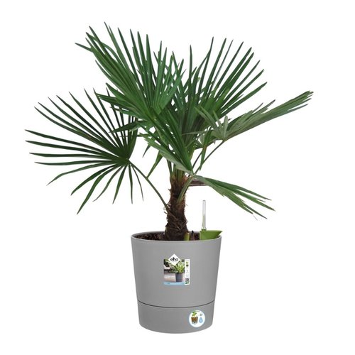 Elho Bloempot Greensense Aqua Care rond 35cm grijs - afbeelding 3