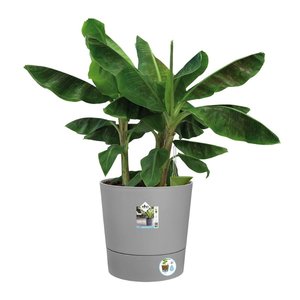 Elho Bloempot Greensense Aqua Care rond 43cm grijs - afbeelding 2