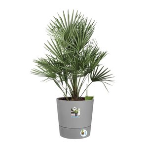 Elho Bloempot Greensense Aqua Care rond 43cm grijs - afbeelding 3