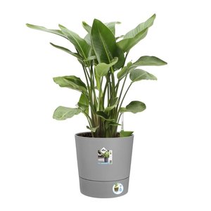 Elho Bloempot Greensense Aqua Care rond 43cm grijs - afbeelding 4