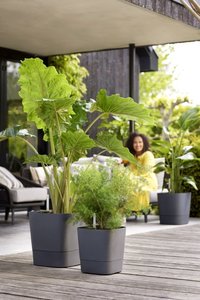 Elho Bloempot Greensense Aqua Care vierkant 38cm grijs - afbeelding 5