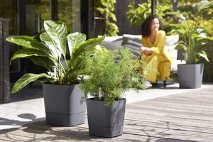 Elho Bloempot Greensense Aqua Care vierkant 38cm grijs - afbeelding 6