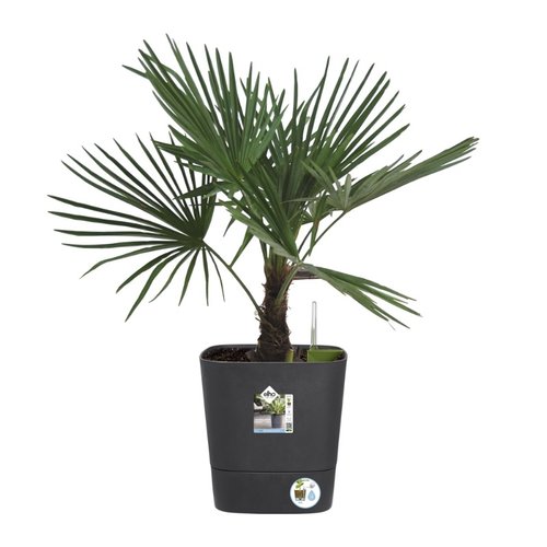 Elho Bloempot Greensense Aqua Care vierkant 38cm grijs - afbeelding 3