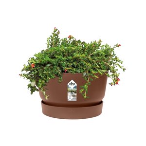 Elho Bloempot Greenville 33cm bruin - afbeelding 2