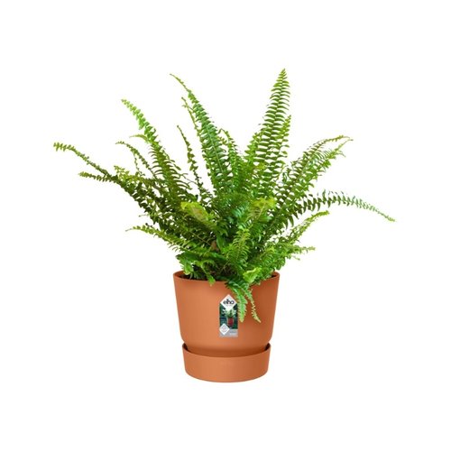 Elho Bloempot Greenville Easy Hanger Single bruin - afbeelding 2