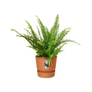 Elho Bloempot Greenville Easy Hanger Single bruin - afbeelding 2