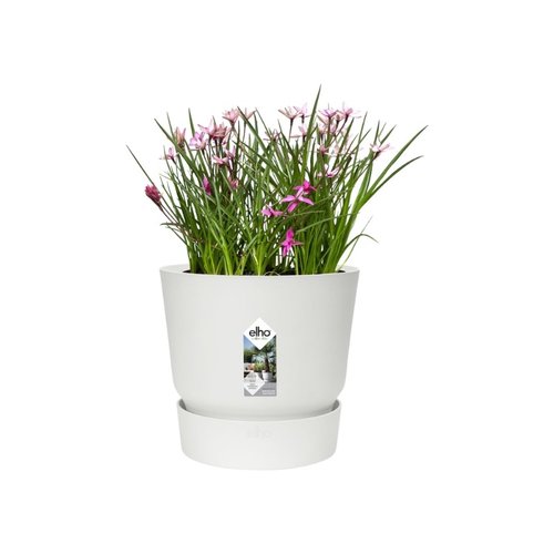 Elho Bloempot Greenville rond 14cm wit - afbeelding 3