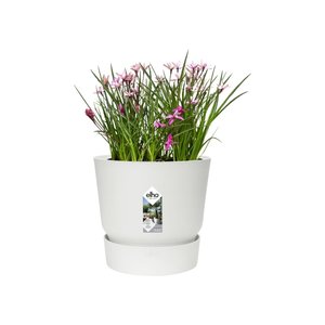 Elho Bloempot Greenville rond 14cm wit - afbeelding 3