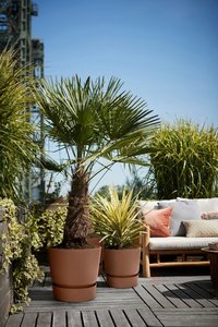 Elho Bloempot Greenville rond 47cm bruin - afbeelding 5