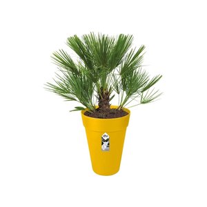 Elho Bloempot Loft Urban rond Hoog 28cm geel - afbeelding 2