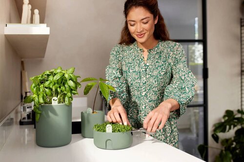 elho bloempot magic microgreens d17 h7cm Blad groen - afbeelding 3