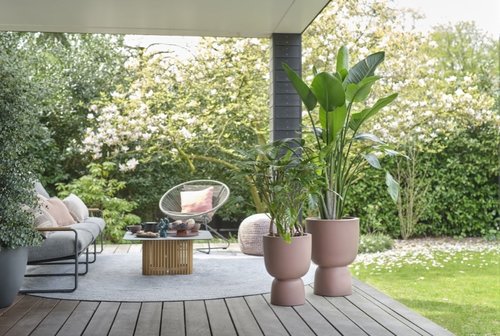 Elho Bloempot Pure Coupe 35cm bruin - afbeelding 6