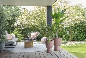 Elho Bloempot Pure Coupe 35cm bruin - afbeelding 6
