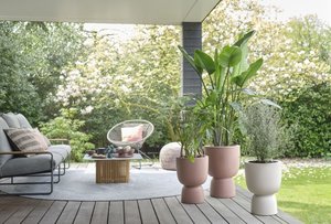 Elho Bloempot Pure Coupe 35cm bruin - afbeelding 7