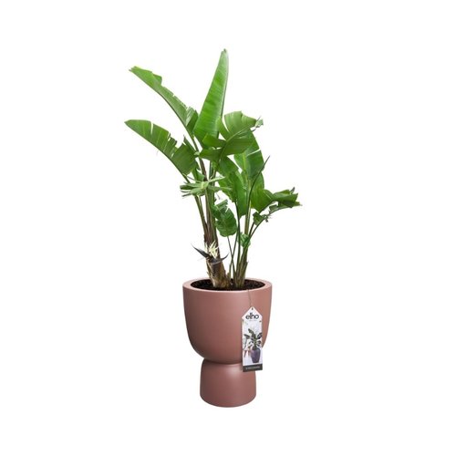 Elho Bloempot Pure Coupe 35cm bruin - afbeelding 3