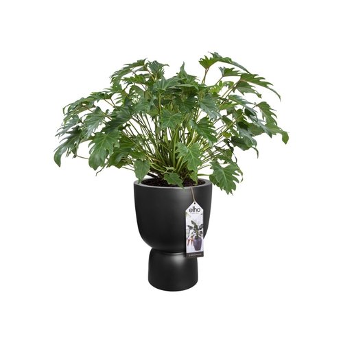 Elho Bloempot Pure Coupe 35cm zwart - afbeelding 4