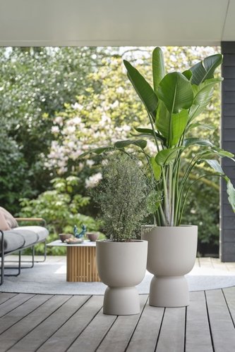 Elho Bloempot Pure Coupe 41cm beige - afbeelding 7