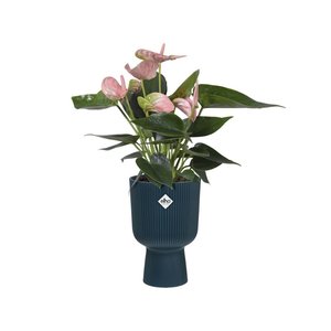 Elho Bloempot Vibes Fold Coupe 14cm blauw - afbeelding 4