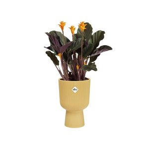 Elho Bloempot Vibes Fold Coupe 14cm geel - afbeelding 2
