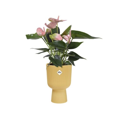 Elho Bloempot Vibes Fold Coupe 14cm geel - afbeelding 4