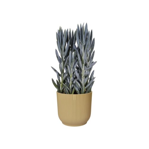 Elho Bloempot Vibes Fold rond 25cm geel - afbeelding 3