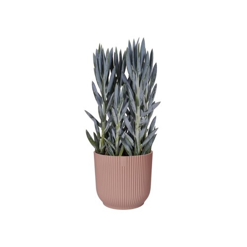 Elho Bloempot Vibes Fold rond 25cm roze - afbeelding 3