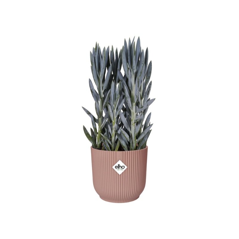 Dubbelzinnigheid Zuinig knoflook Elho Bloempot Vibes Fold rond 25cm roze - Tuincentrum Coppelmans